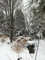 Winterize your garden for birds and insects