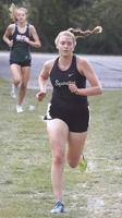Delone Catholic's O'Brien races way to state cross country medal