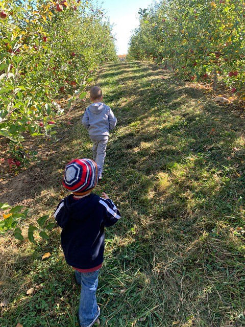 Land Conservancy Month No. 1