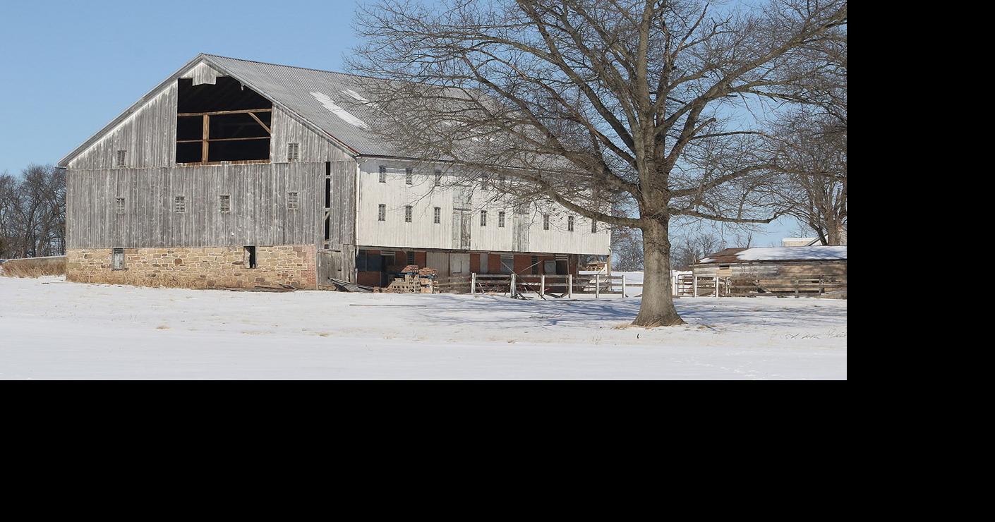 Wind rips siding off barn