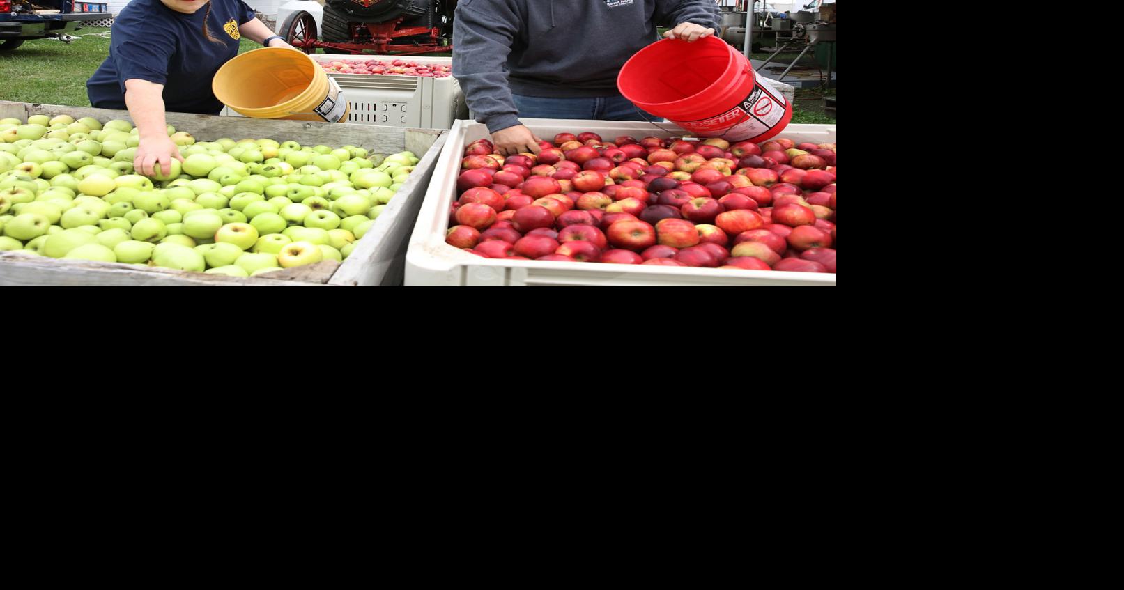 Apple Harvest Fest starts today Local News