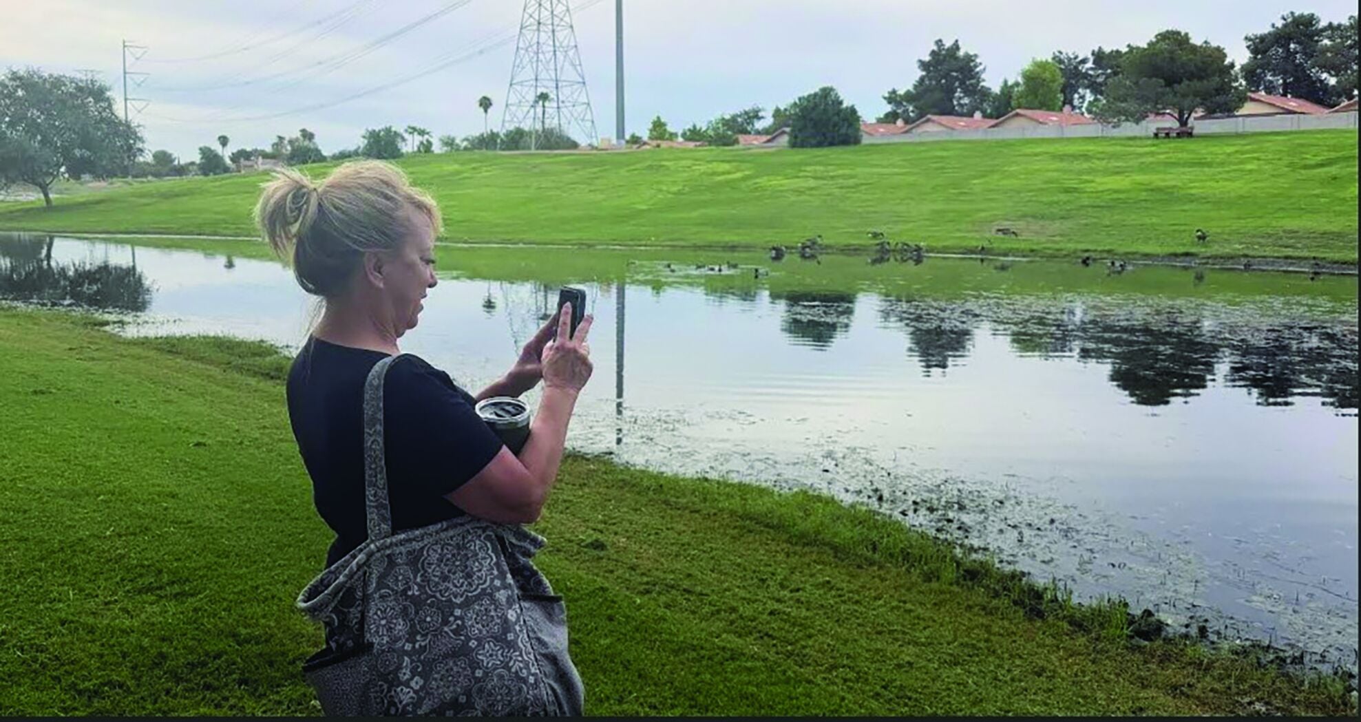 Project 1237 Freestone Park project’s impact on wildlife raises concerns | News ...