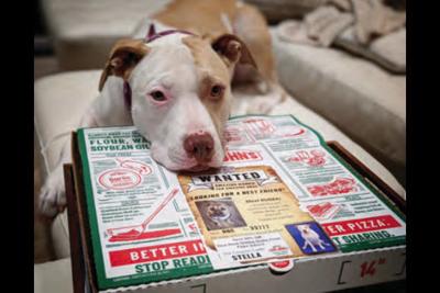 Woman inspires dog outreach by Papa John's | Business ...