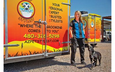 David's pet grooming top