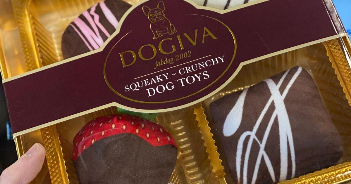 Town OKs a restaurant for dog lovers | News