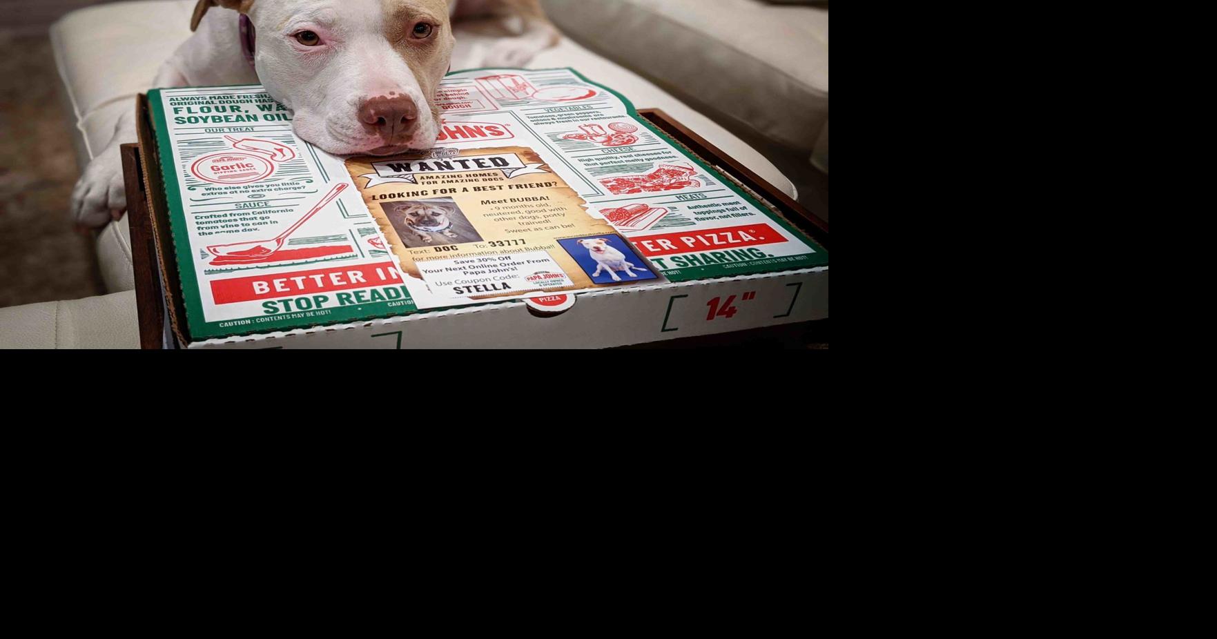 Woman inspires dog outreach by Papa John's | Business ...