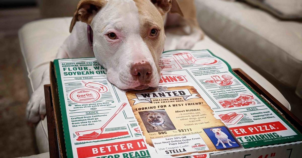 Woman inspires dog outreach by Papa John's | Business ...