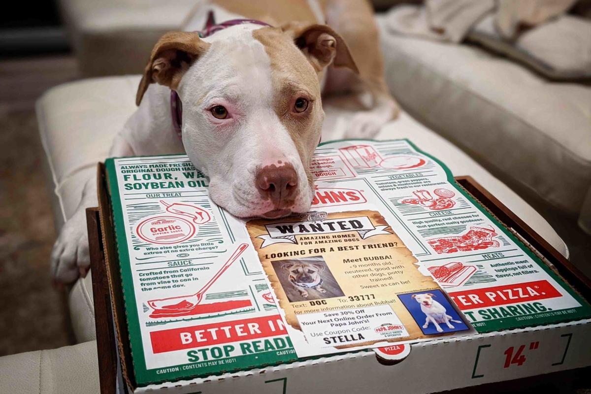 Papa johns coupon phoenix