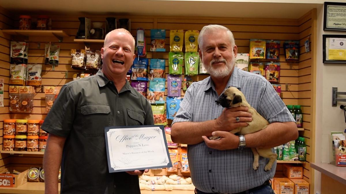 Puppies N Love Is Mayor S Business Of The Week Features Glendalestar Com