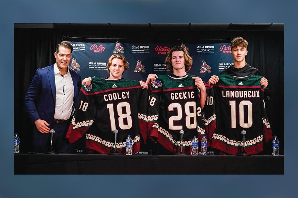 Arizona Coyotes rebuild with 3 firstround picks Sports