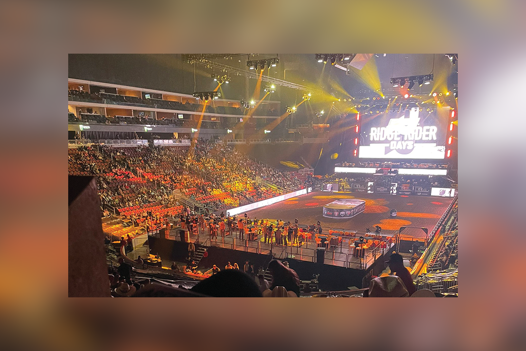 PBR team takes bull riding to new heights Sports