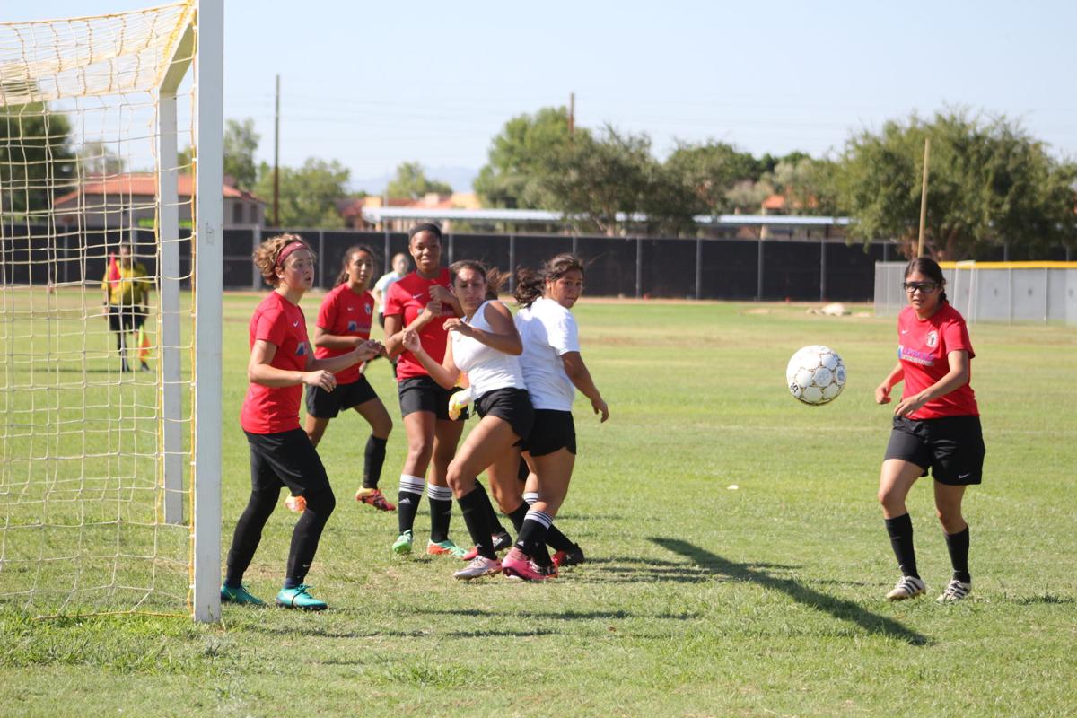 Gcc Women S Soccer Team Looks To Rebuild Sports Glendalestar Com