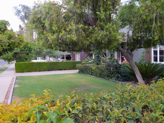 Take historical whimsical tour of Catlin Court Features