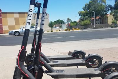 Birds are slowly flying out of the West Valley as Glendale joins Peoria in banning the electric scooters.