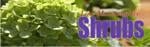 Stillwater Greenhouse