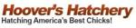 Hoovers Hatchery