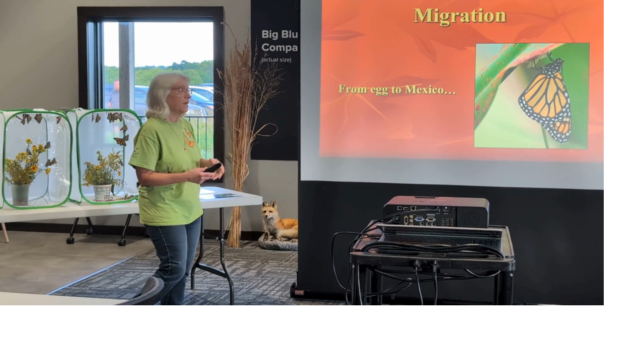 Monarch tagging at Hanson Nature Center in Leland