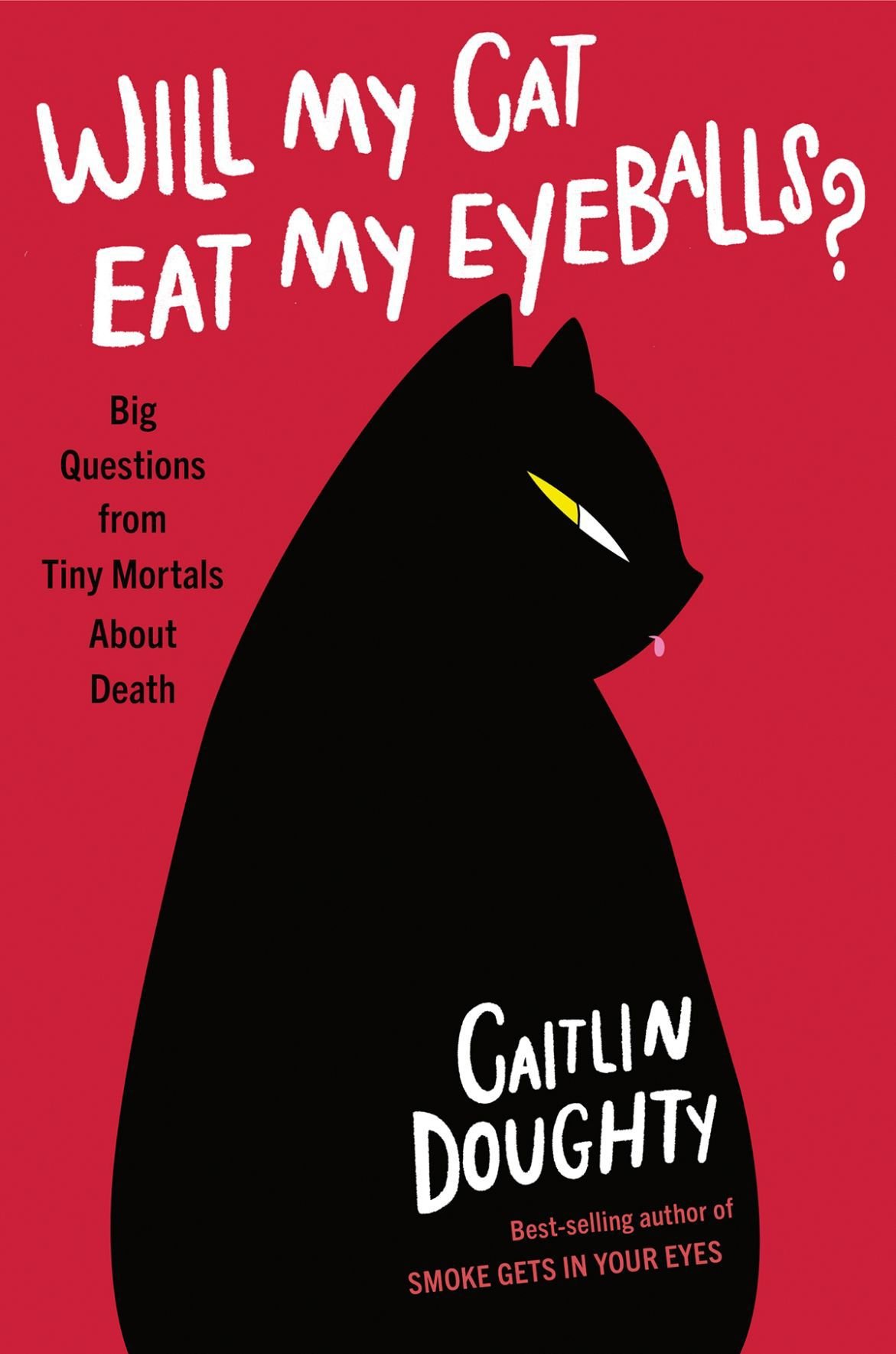 Bookworm: 'Will My Cat Eat My Eyeballs' is not for kids ...