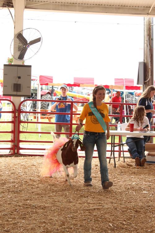 Hancock County Fair in Britt approaches Entertainment