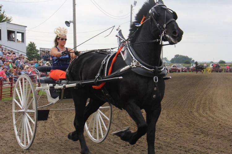 Britt Draft Horse Show (Ladies Cart)