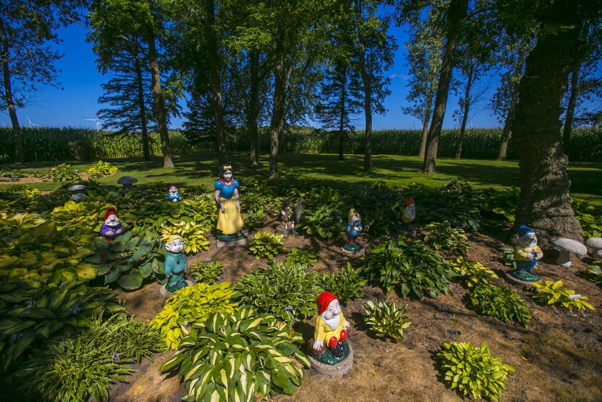 Charles City 'flower freak' has a dozen gardens | Mason ...