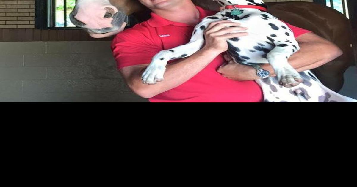 Former Budweiser Clydesdale handler recalls 'greatest job in world'