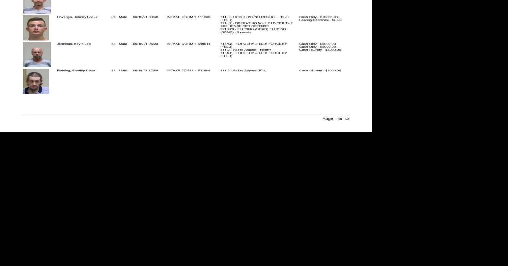 Cerro Gordo County Jail log for June 16