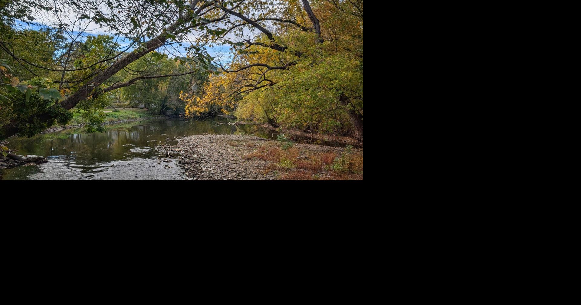 PHOTOS: Fall colors are peeking through in North Iowa