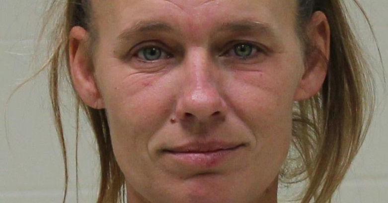 Police: North Iowa woman arrested for drunk driving was three times the ...