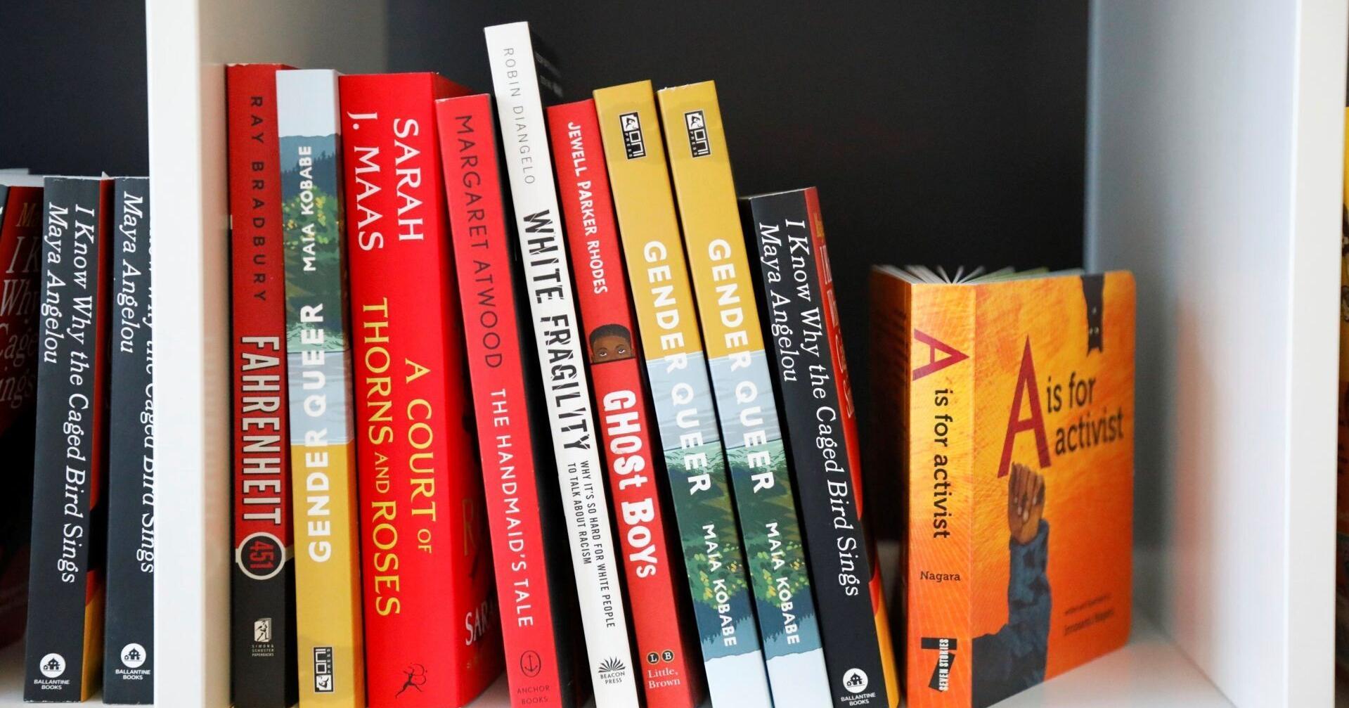 School library book bans are seen as targeting LGBTQ content - Vimarsana News