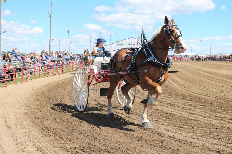 Officials announce hitch lineup for 42nd annual Britt Draft Horse Show