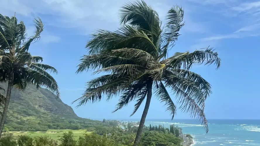 Winona State Men's Basketball in Hawaii Blog