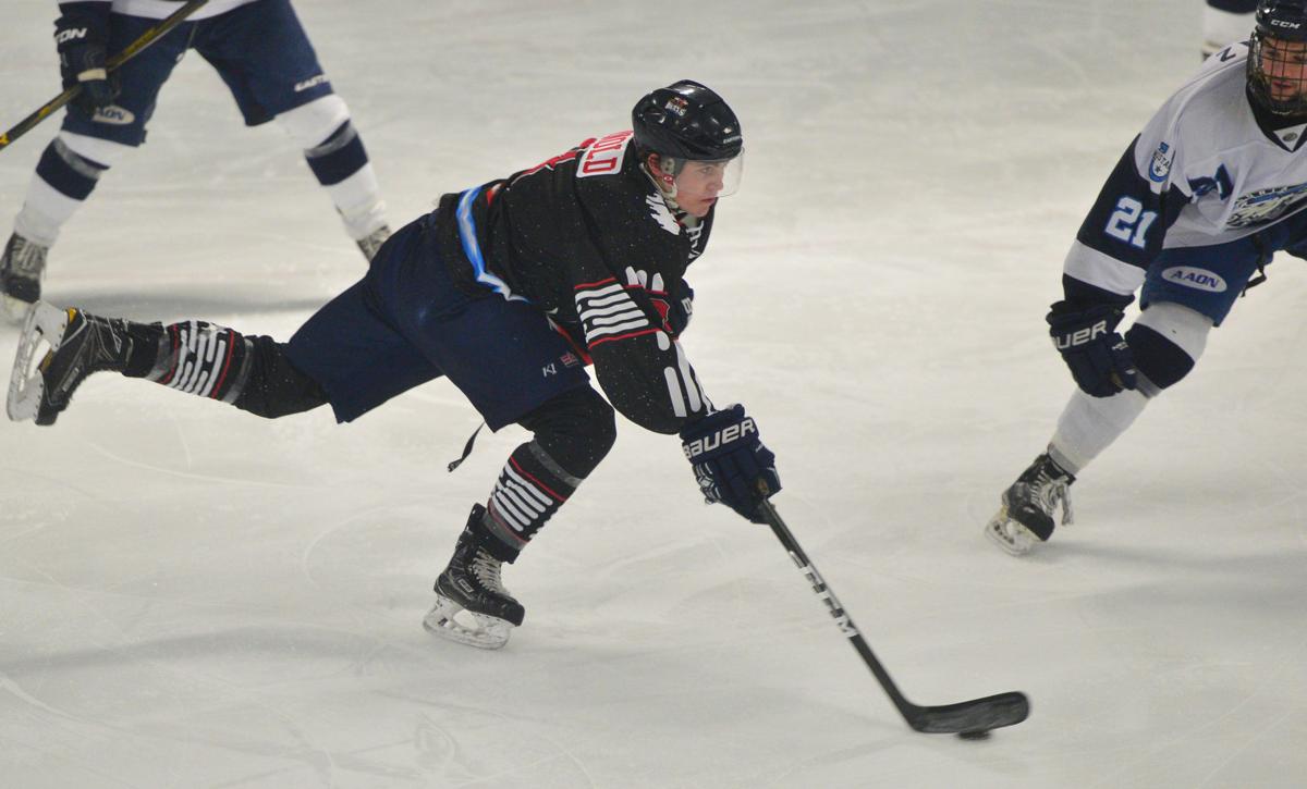 Hockey Bulls vs. Peoria 01