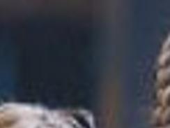 State Girls Basketball S C M T Meets Two Time Defending Champs