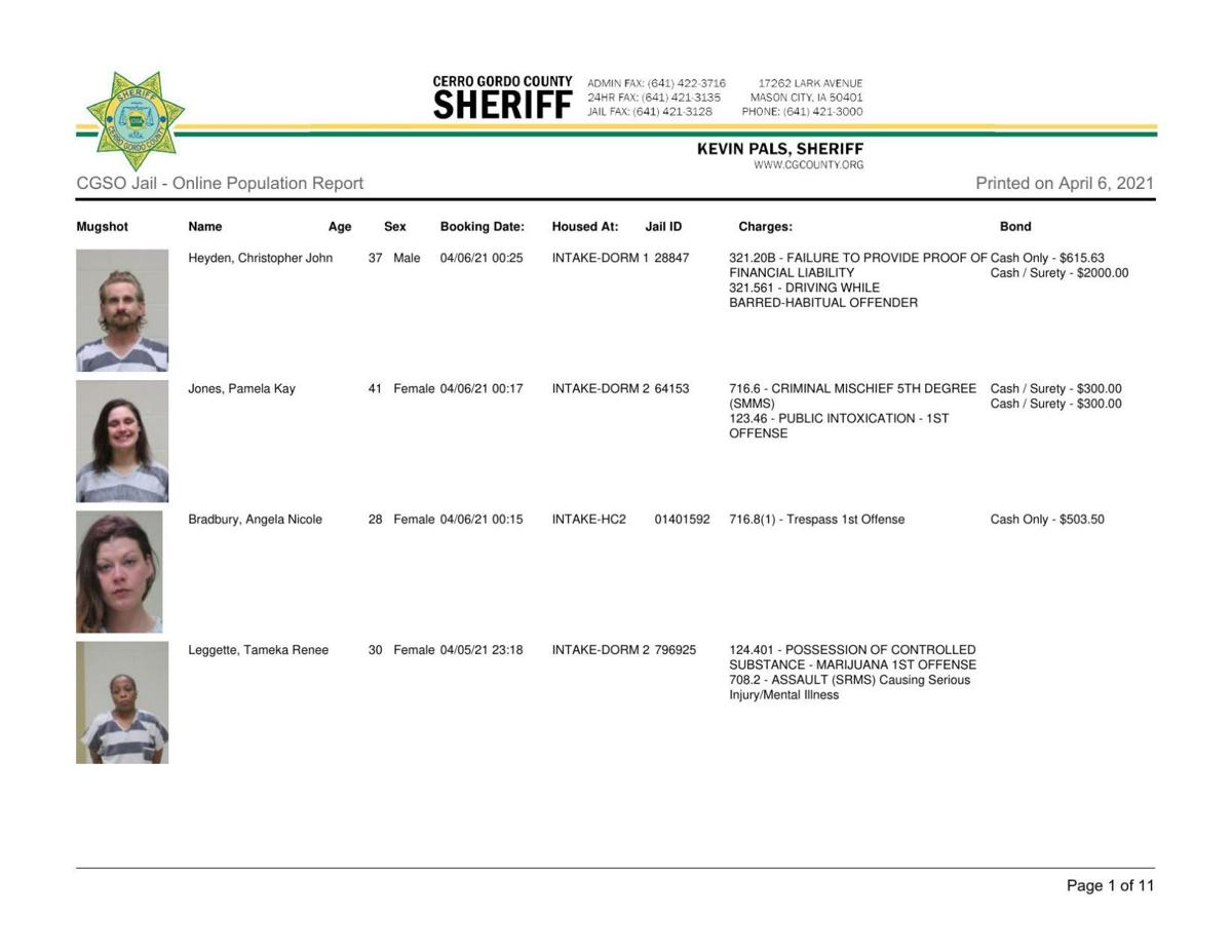 Cerro Gordo County Jail log for April 6