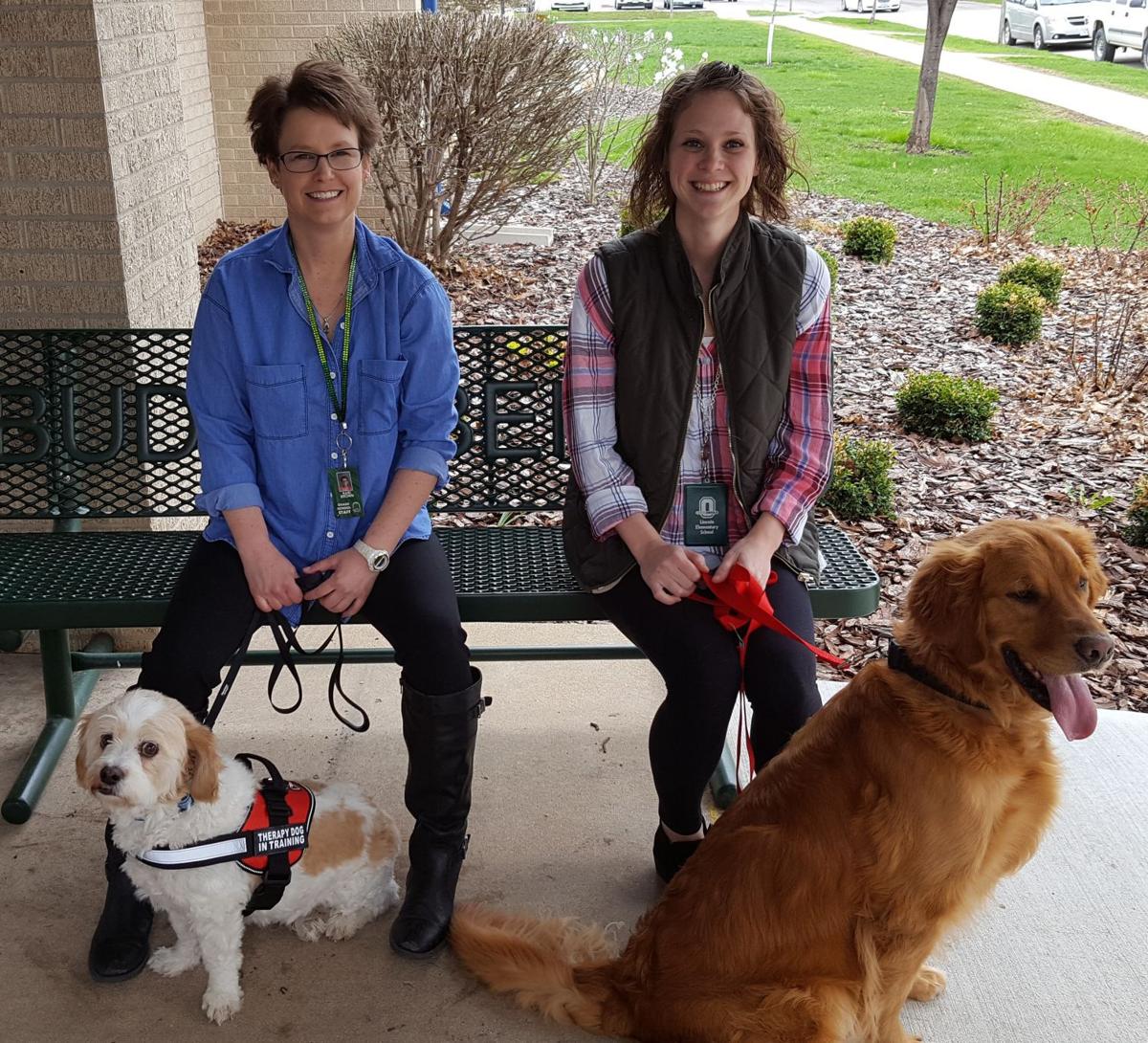 Osage may add therapy dogs at elementary school