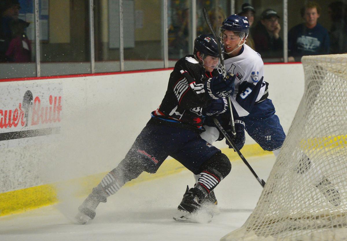 Hockey Bulls vs. Peoria 10