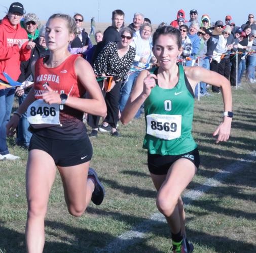 Cross Country Top of Iowa Conference Championships
