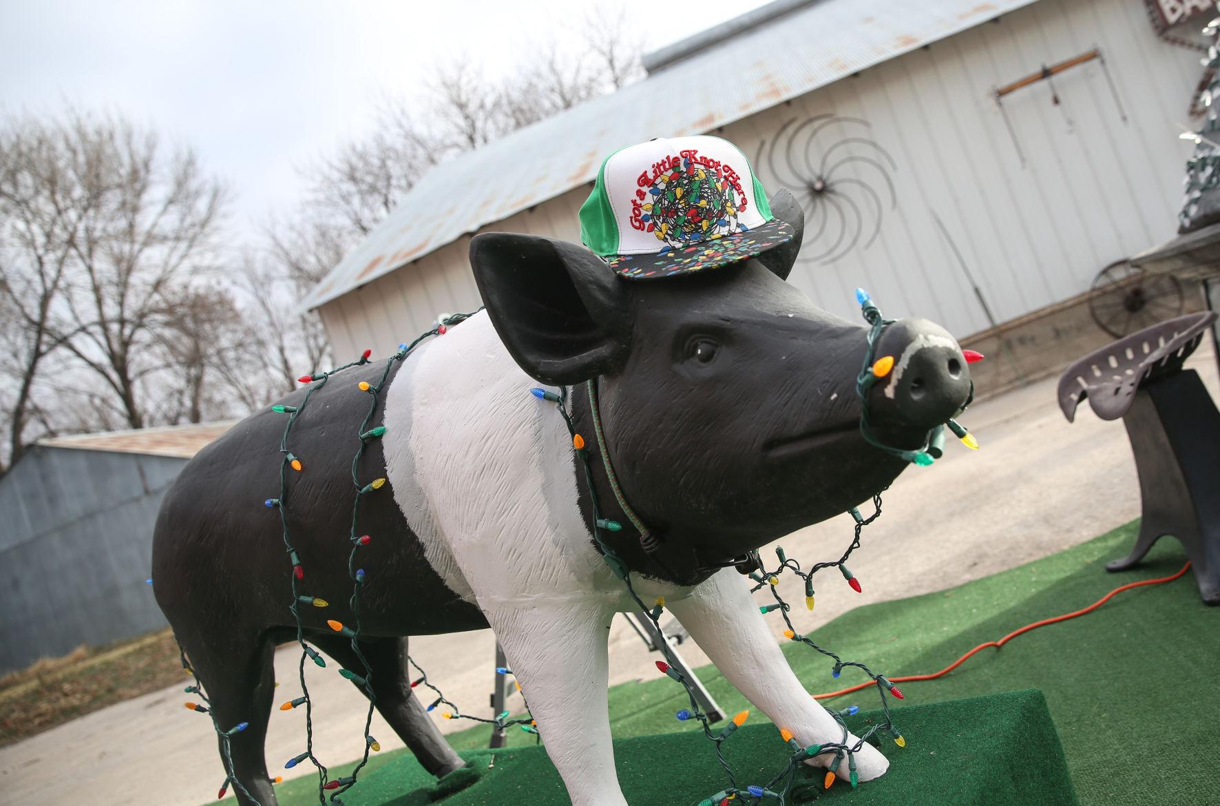 Longtime North Iowa farmer turns barn passion into new offerings at