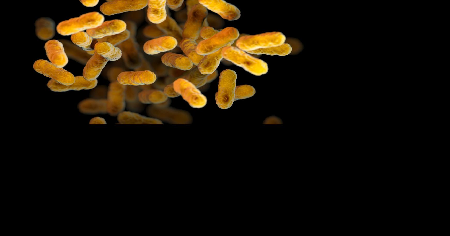 Whooping cough is at a decadehigh level in US