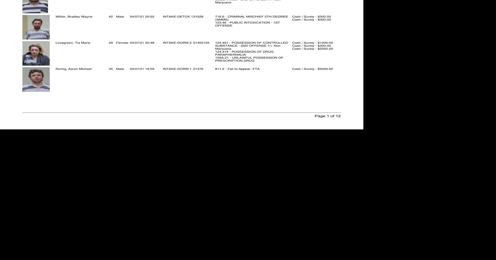 Cerro Gordo County Jail log for April 8