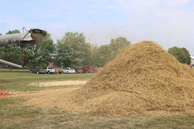 A man walks his dog in the distance as steam threshing commences on Aug. 6 at Heritage Park..JPG