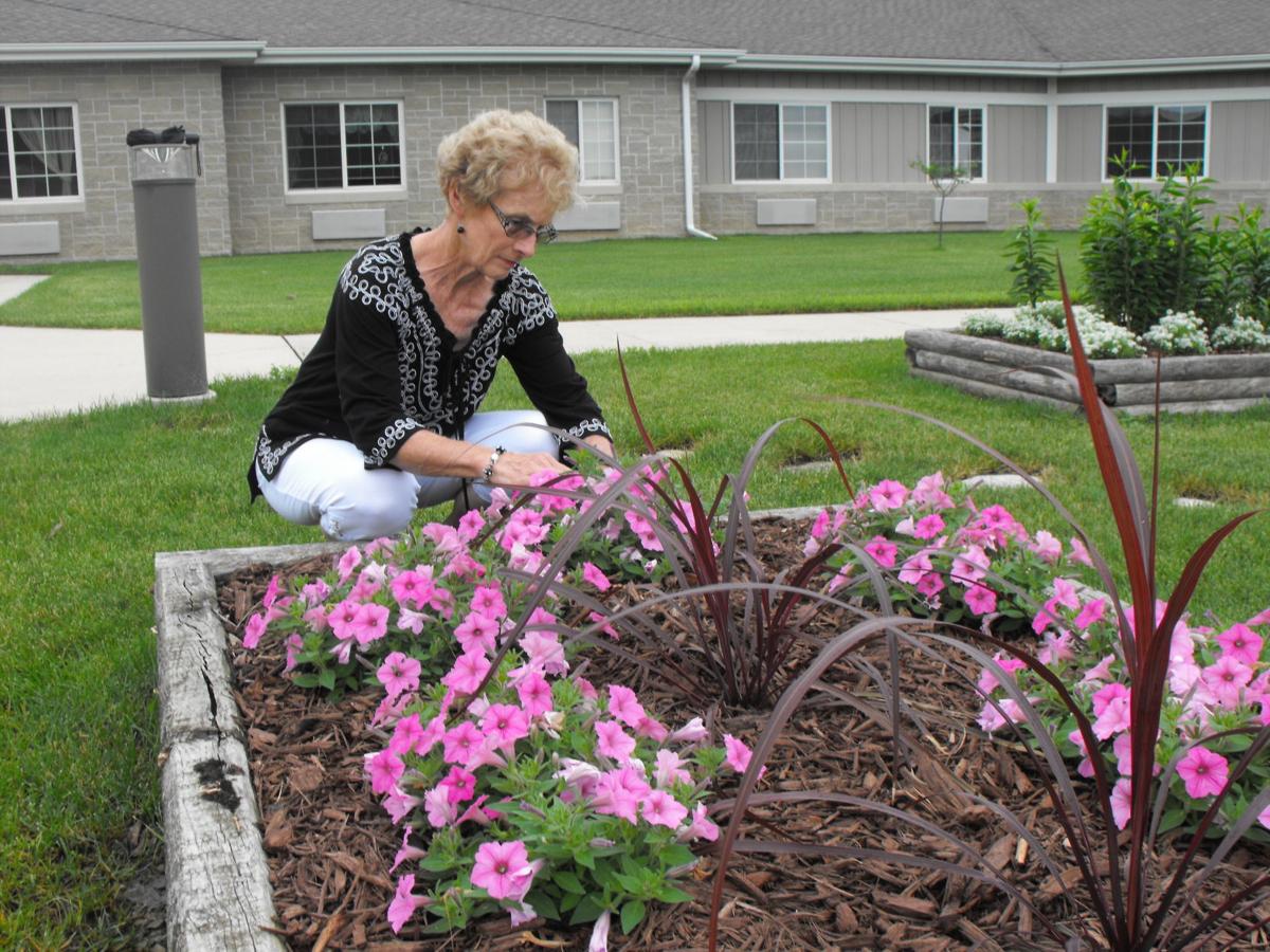 Osage Woman S Passion For Plants Blooms At Apple Valley With Photos Mason City North Iowa Globegazette Com
