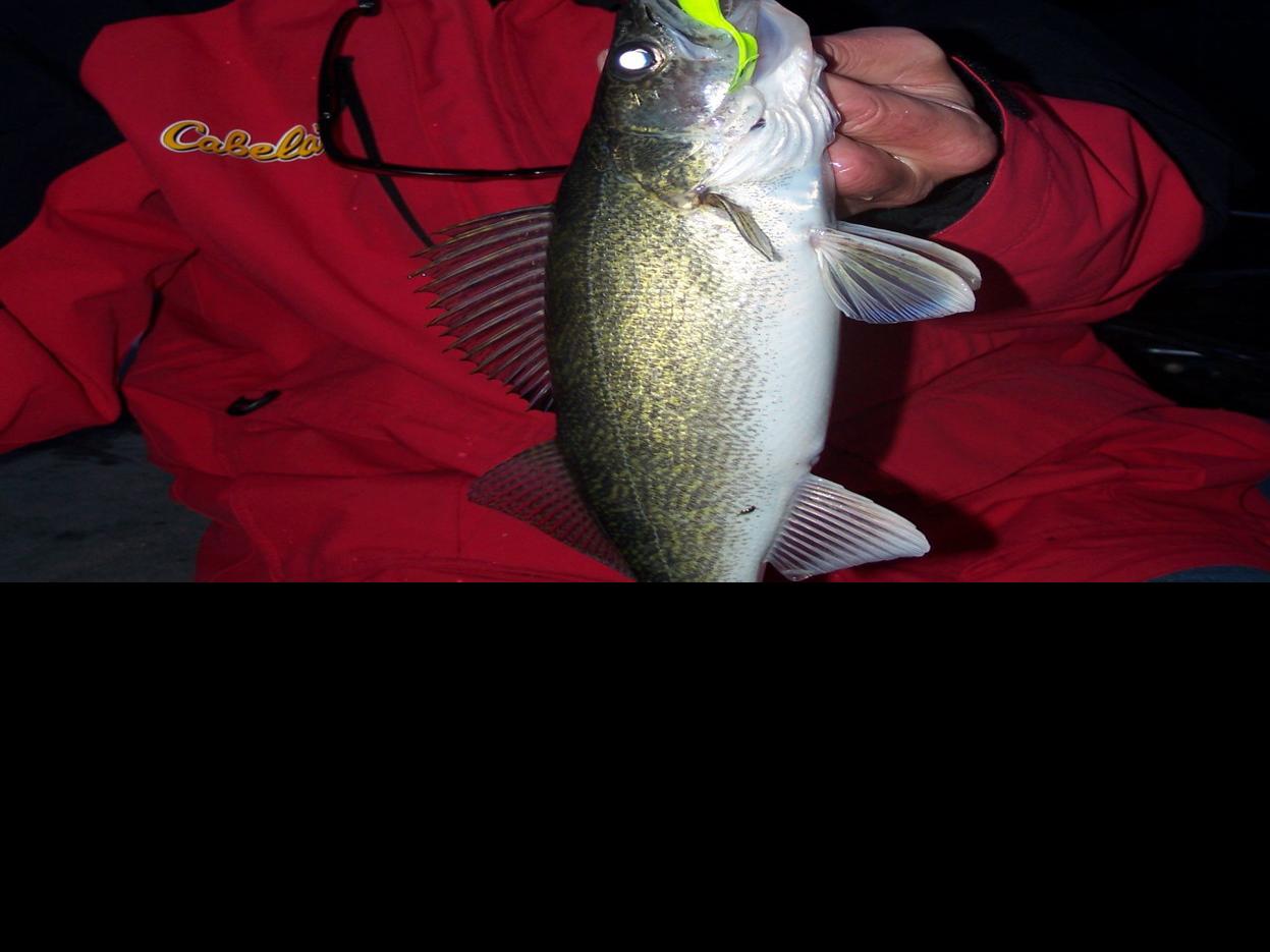 Jensen S Fishing The Midwest Walleyes At Night North Iowa