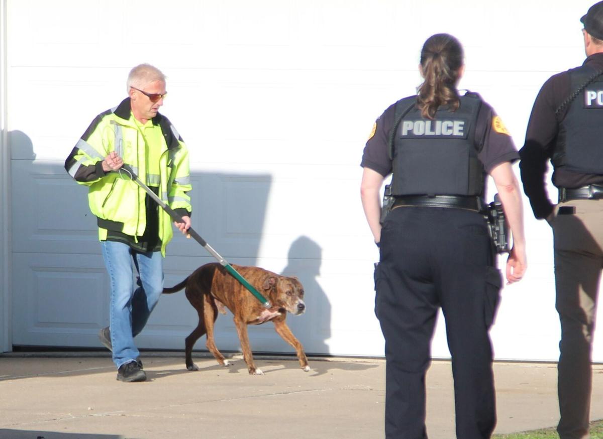 Infant dead, grandmother seriously injured in Waterloo dog attack