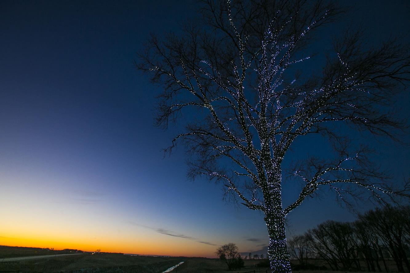 POET in Hanlontown brightens North Iowa with lighted tree