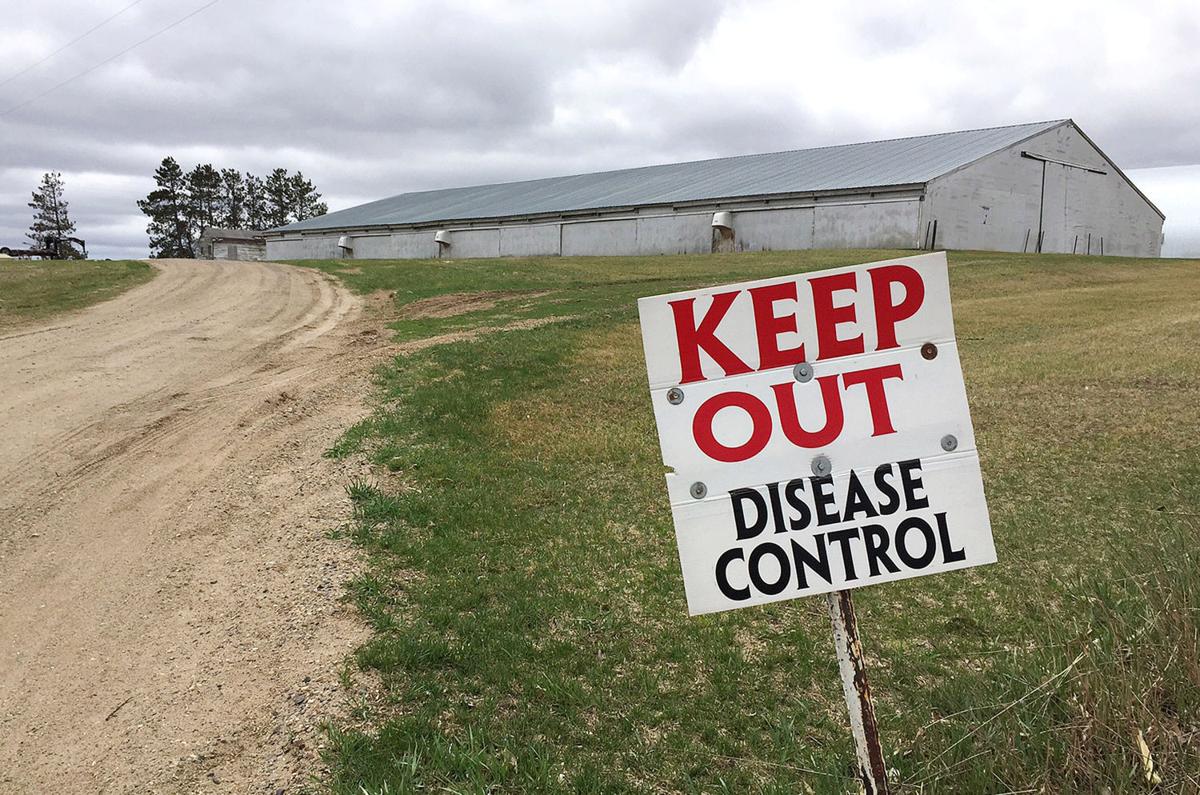 Iowa farmers to Congress: Speed up bird flu response ...