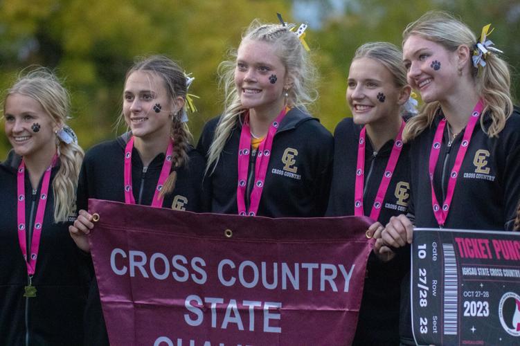 Storylines from the Iowa state cross country meet