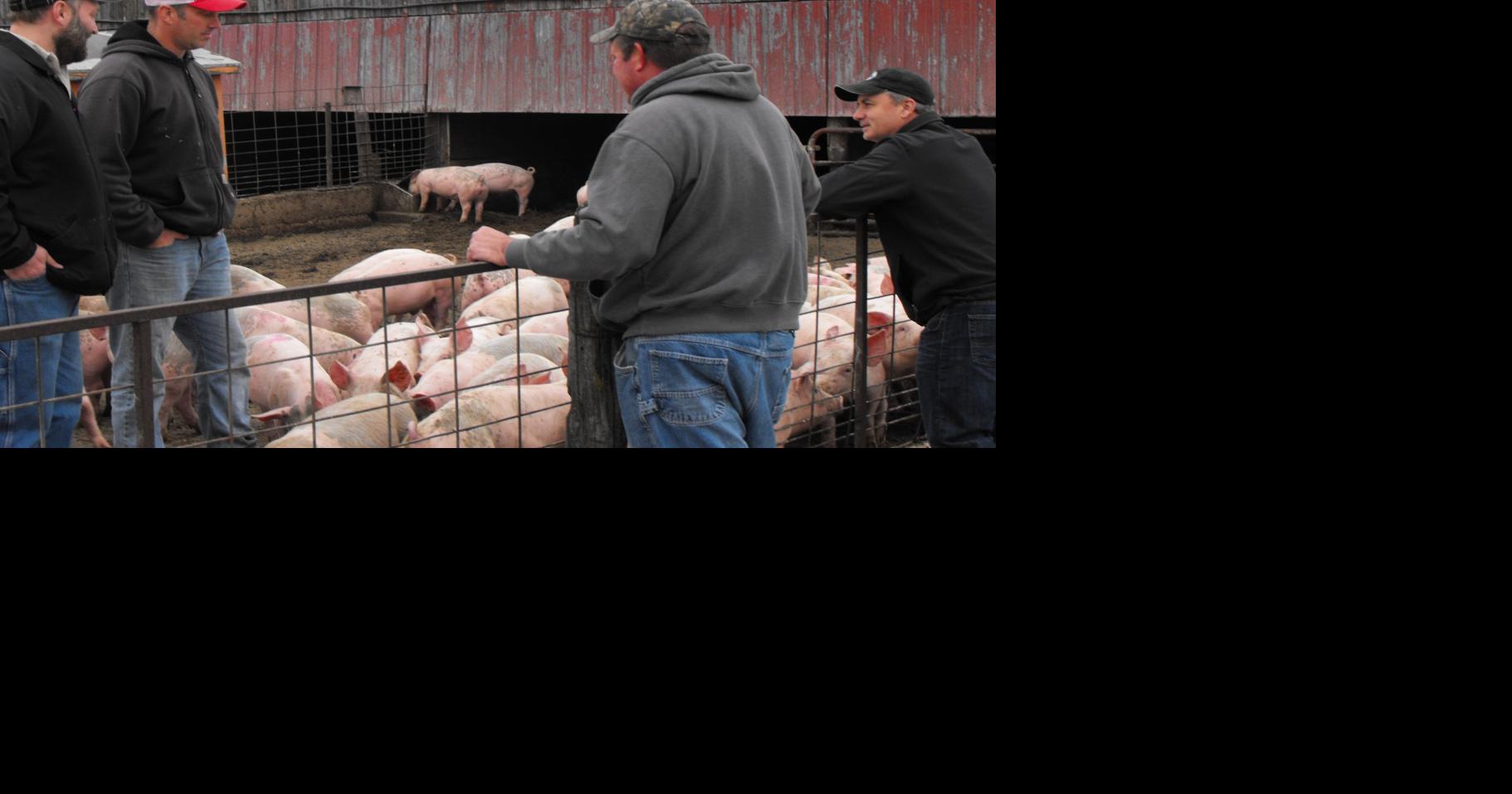 Niman Ranch popular among Mitchell County farmers