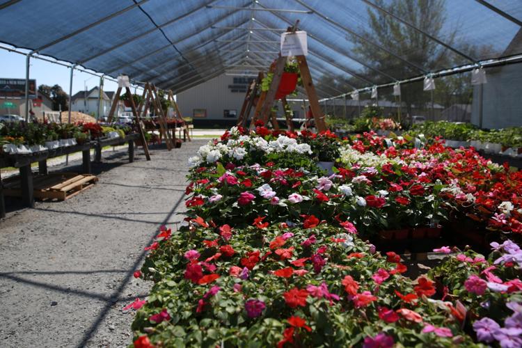 Blanchard's Blossoms and Garden Center opens in Mason City